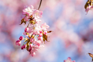 Similar image 21199743