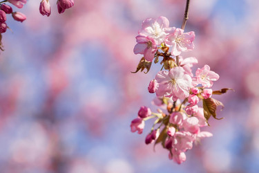 Similar image 21199745