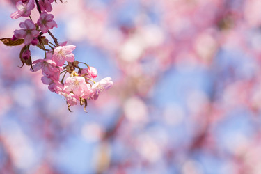 Similar image 21199747