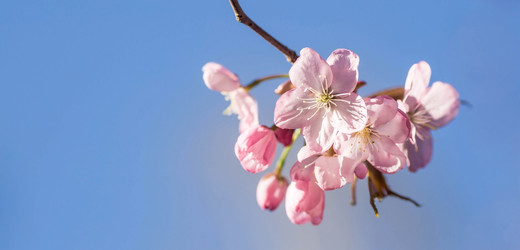 Similar image 21199749