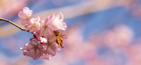 Similar image 21199971