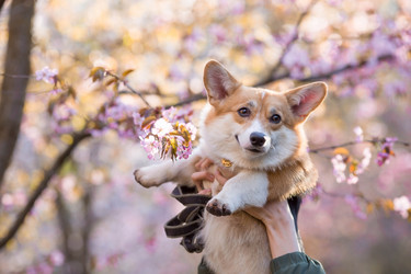 Similar image 21199973