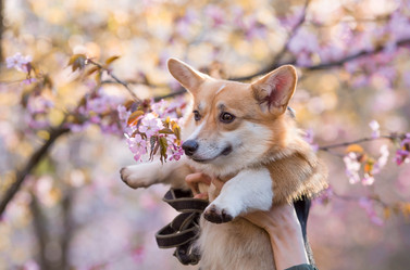 Similar image 21199974