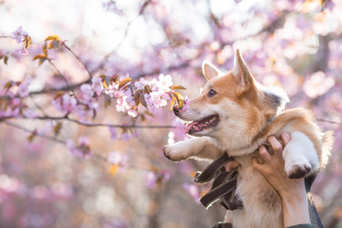 Similar image 21199975