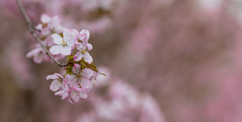 Similar image 21199977