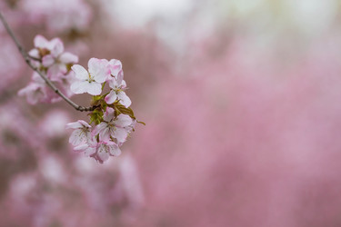 Similar image 21199978