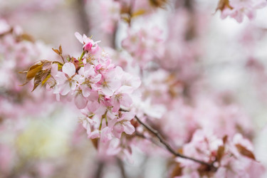 Similar image 21199979