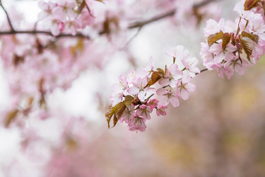 Similar image 21199981