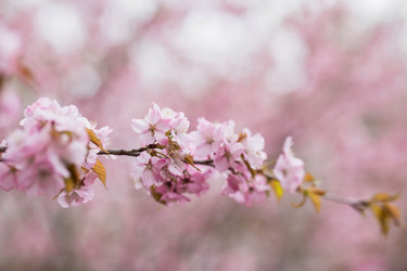 Similar image 21199983