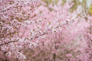 Similar image 21199984