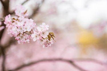 Similar image 21199987