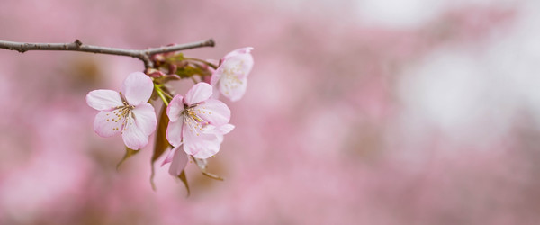 Similar image 21199988