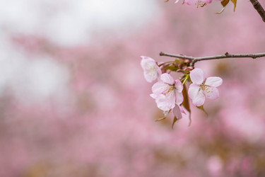 Similar image 21200137