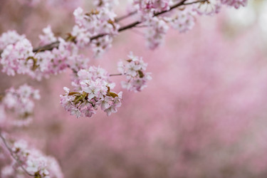 Similar image 21200138