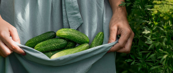 Similar image 21200139