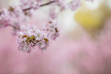 Similar image 21199544