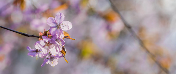 Similar image 21199549