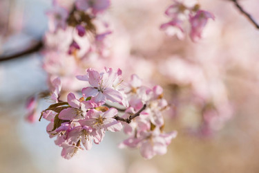 Similar image 21199551