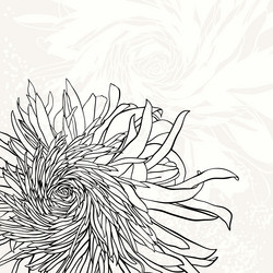 Similar image 21201697