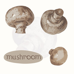 Similar image 21201704