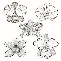 Similar image 21201766