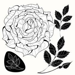 Similar image 21201796