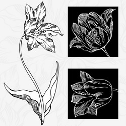 Similar image 21201816