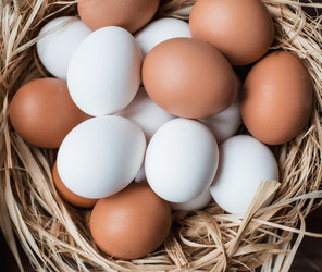 Similar image 21201093