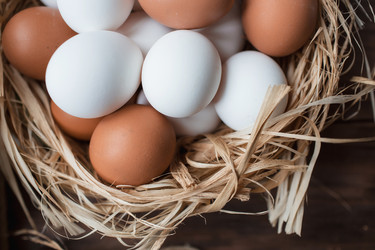 Similar image 21201094