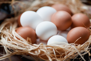 Similar image 21201099