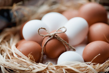 Similar image 21201100