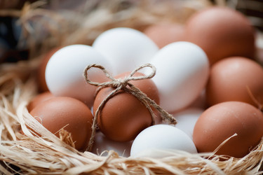 Similar image 21201101