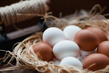 Similar image 21201102