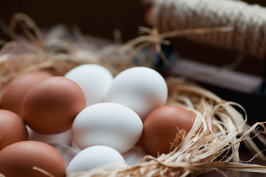 Similar image 21201103