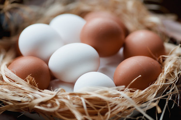 Similar image 21201114