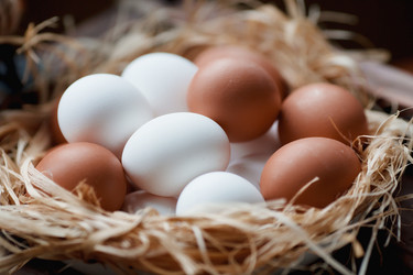 Similar image 21201115