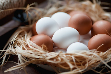 Similar image 21201116