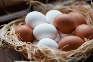 Similar image 21201117