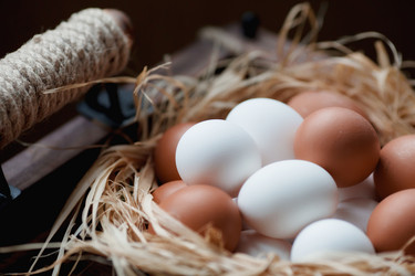 Similar image 21201118