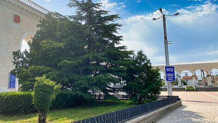 Similar image 21199763