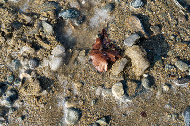 Similar image 21199813