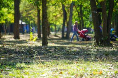 Similar image 21199828