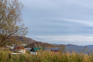 Similar image 21199829