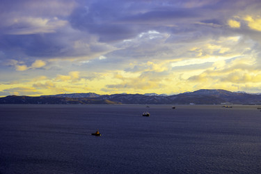 Similar image 21199830