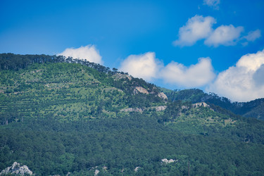 Similar image 21199905