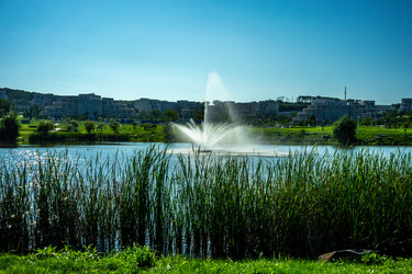 Similar image 21199998