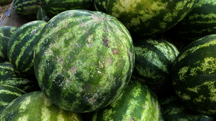 Similar image 21199929