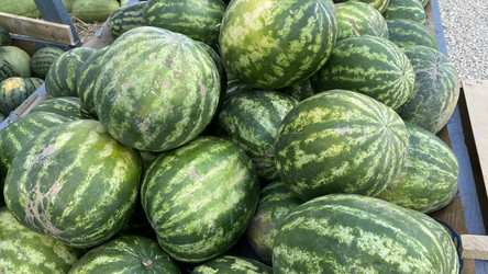 Similar image 21202734