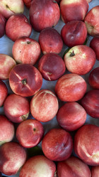 Similar image 21199843