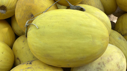 Similar image 21199844